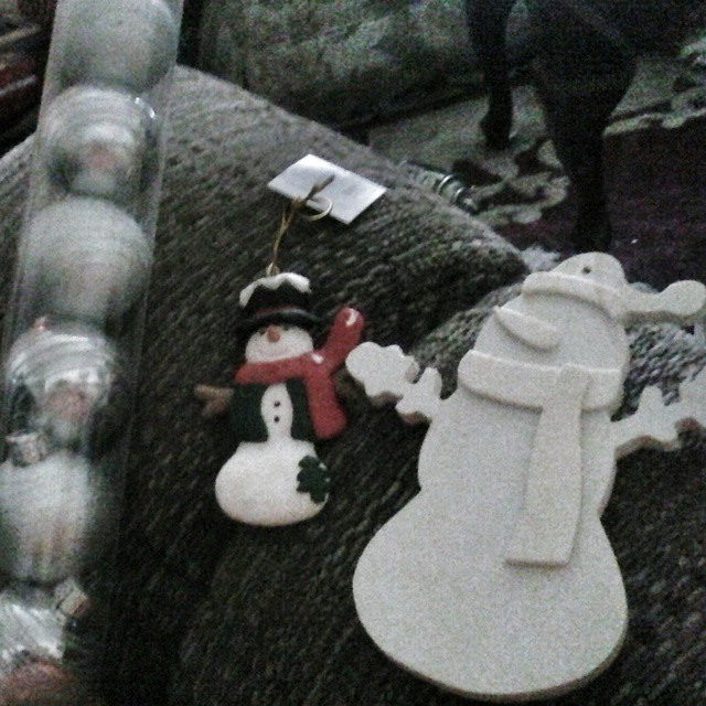 The ornaments I found in the craft store dumpster.